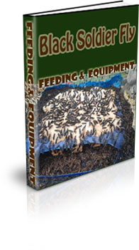 Black Soldier Fly Farming Training